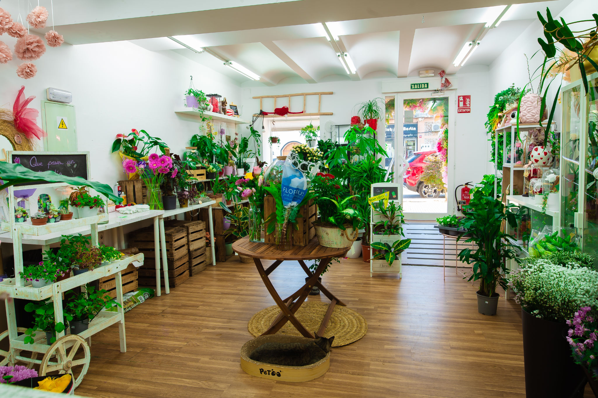 Vista general interior de la floristería en San Martín de la Vega Madrid Jungla Floral